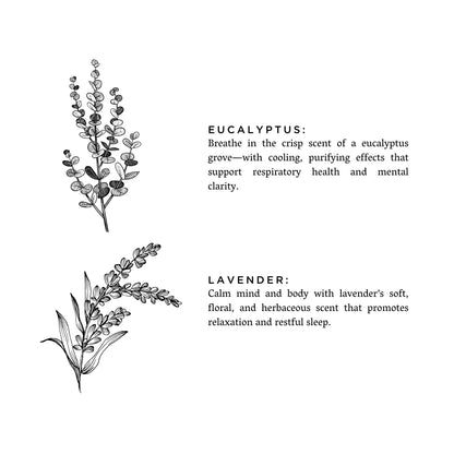 Eucalyptus + Lavender - Signature Candle