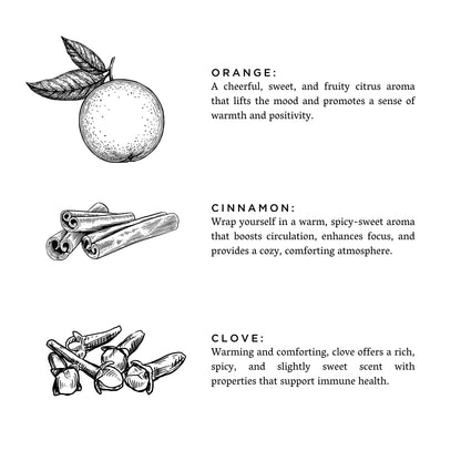 Orange + Clove - Signature 3-Wick Candle