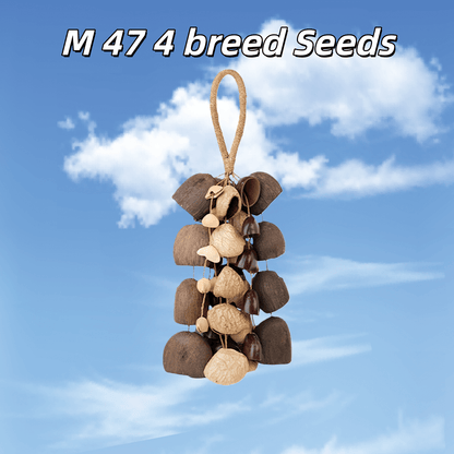 Handmade Mixed Seed Shaker | Hand Bell