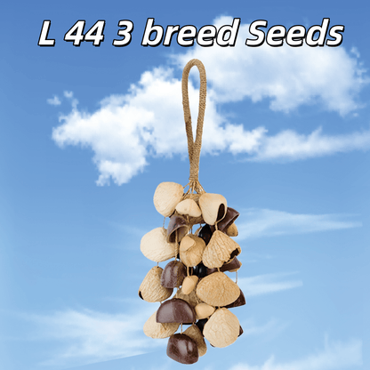 Handmade Mixed Seed Shaker | Hand Bell