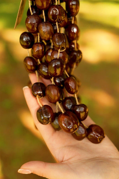 Handmade Pala Seed Seed Shaker | Hand Bell