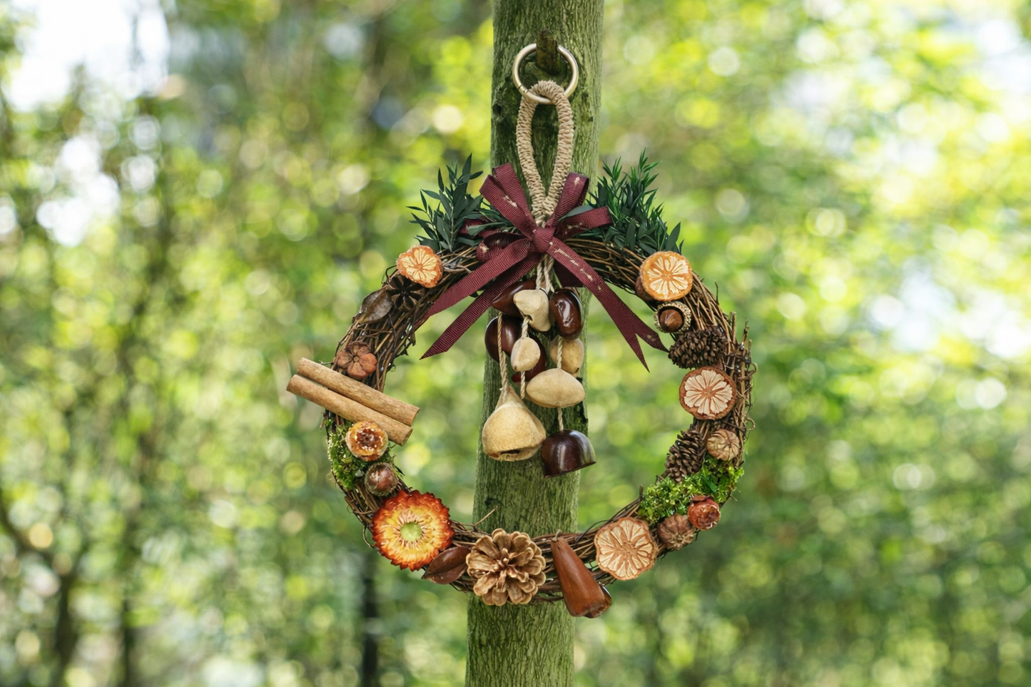 "The Festive Forest Wreath" - Natural Vine Wreath with Dried Citrus, Cinnamon & Seed Chimes