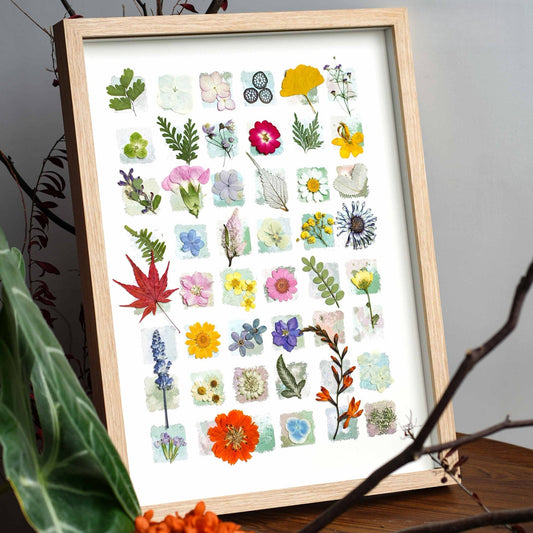 "The Grand Botanical Mosaic" Specimen Shadow Box
