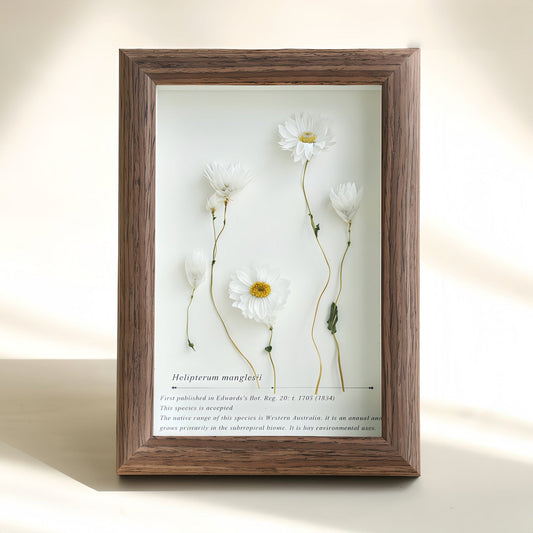 "The Landscape Garden"  Real Flower Shadow Box